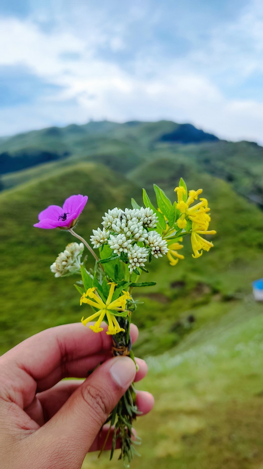 Sailung scenery